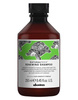 Davines Renewing, szampon anti-age, 250 ml 