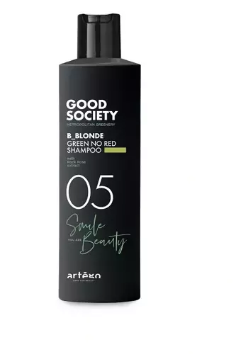 Artego Good Society szampon neutralizujący czerwone i miedziane refleksy z keratyną roślinną 05 B_Blonde Green No Red Shampoo 250 ml